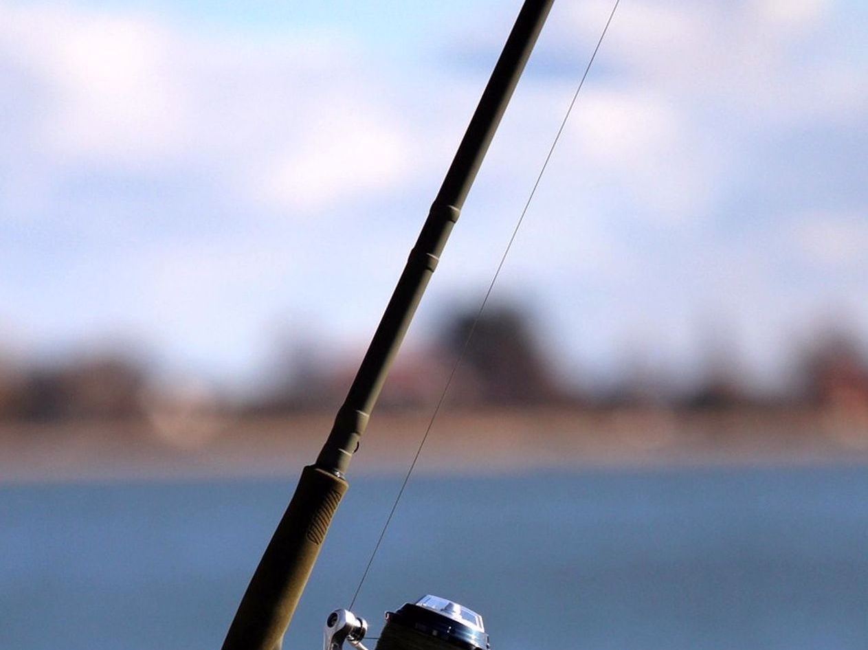 Lure selection by water clarity